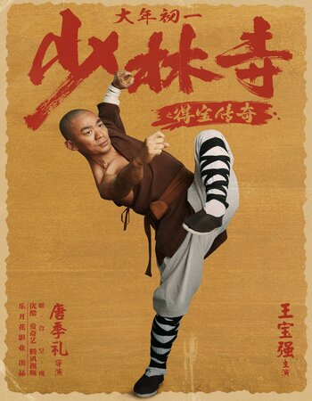 Rising Shaolin: The Protector 2021 Dual Audio Hindi ORG 1080p 720p 480p WEB-DL x264 Full Movie Download