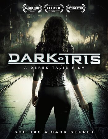 Dark Iris 2018 Dual Audio Hindi ORG 720p 480p WEB-DL x264 ESubs Full Movie Download