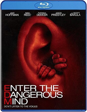 Enter the Dangerous Mind 2013 Dual Audio Hindi ORG 720p 480p BluRay x264 ESubs Full Movie Download