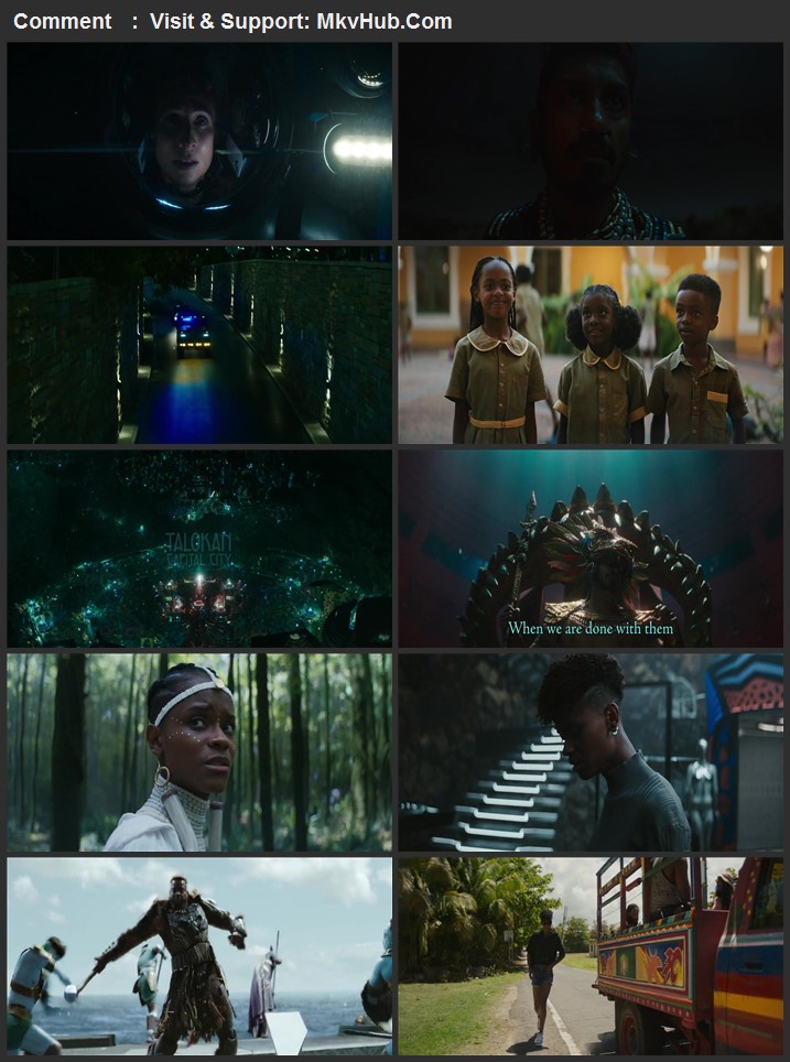 Black Panther: Wakanda Forever 2022 Dual Audio [Hindi-English] 720p 1080p WEB-DL ESubs Download