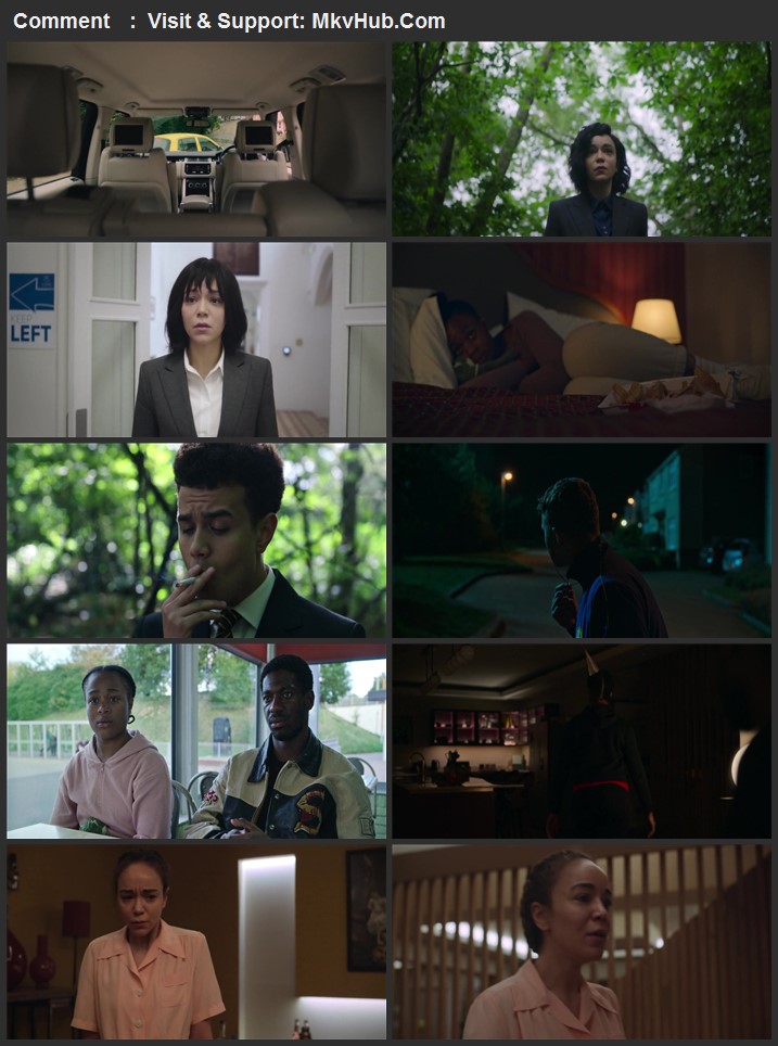 The Strays 2023 English 720p WEB-DL ESubs Download