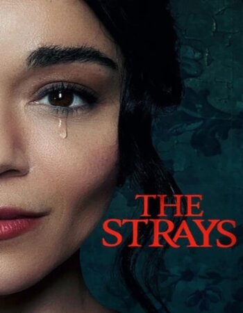 The Strays 2023 English 720p WEB-DL ESubs Download