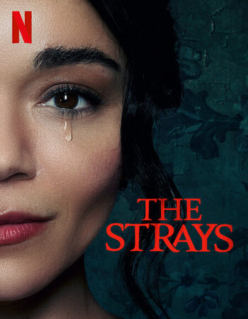 The Strays 2023 Dual Audio Hindi ORG 1080p 720p 480p WEB-DL x264 ESubs Full Movie Download
