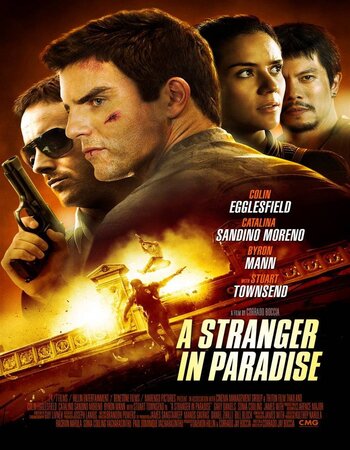 A Stranger in Paradise 2013 Dual Audio [Hindi-English] 720p BluRay x264 ESubs