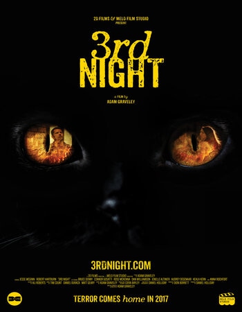 3rd Night 2017 Dual Audio [Hindi-English] 720p WEB-DL x264 ESubs Download