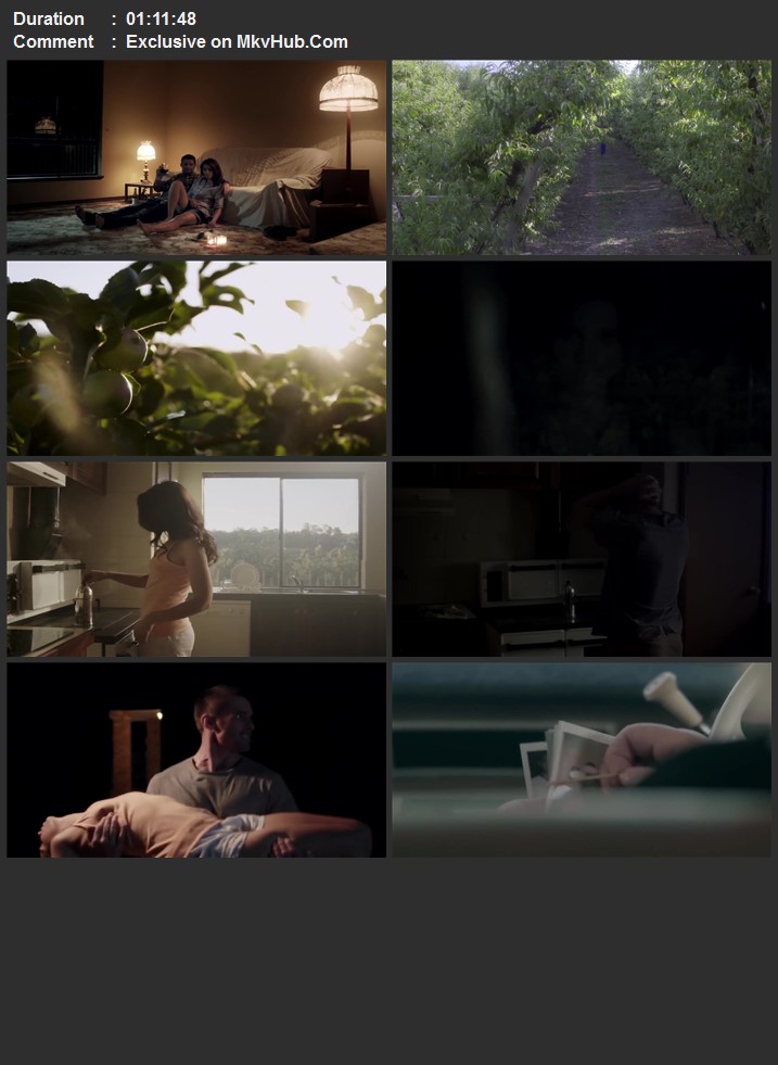 3rd Night 2017 Dual Audio [Hindi-English] 720p WEB-DL x264 ESubs Download