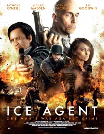 ICE Agent 2013 Dual Audio [Hindi-English] 720p WEB-DL x264 ESubs