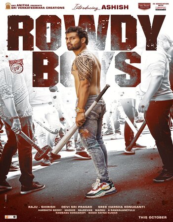 Rowdy Boys 2022 Hindi (HQ-Dub) 1080p 720p 480p WEB-DL x264 ESubs Full Movie Download