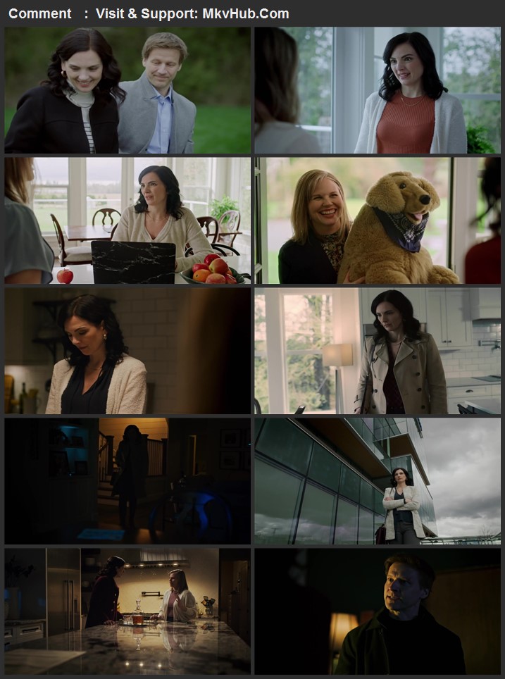 A Deadly Surrogacy 2022 English 720p 1080p WEB-DL ESubs Download
