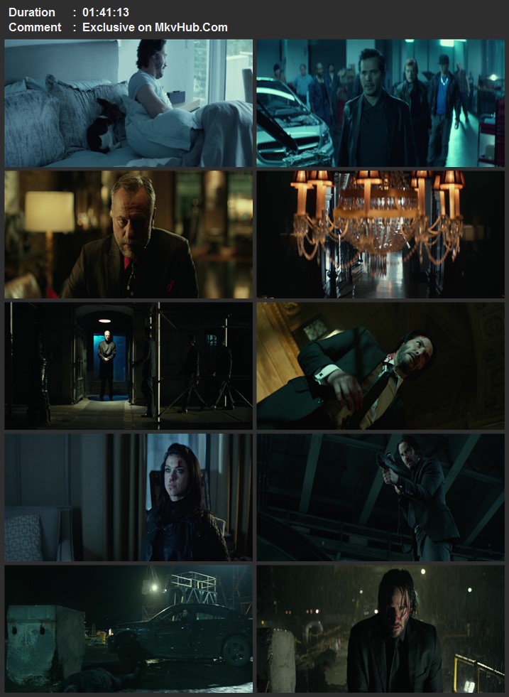 John Wick 2014 Dual Audio [Hindi-English] 720p 1080p BluRay x264 ESubs Download