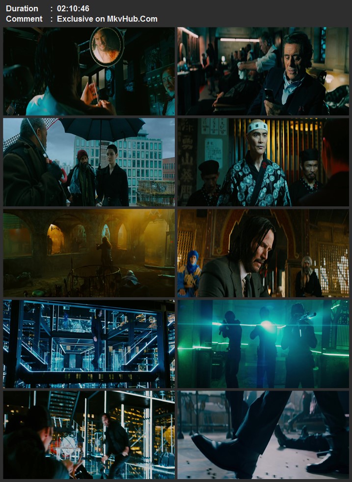 John Wick: Chapter 3 - Parabellum 2019 Dual Audio [Hindi-English] 720p 1080p BluRay x264 ESubs Download