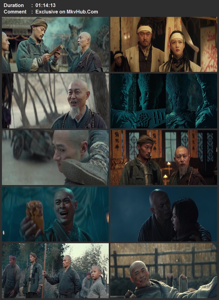 Southern Shaolin and the Fierce Buddha Warriors 2021 Dual Audio [Hindi-English] 720p WEB-DL x264 ESubs Download