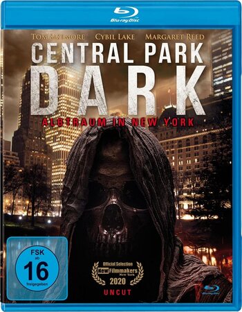 Central Park Dark 2021 Dual Audio Hindi ORG 720p 480p BluRay x264 ESubs Full Movie Download