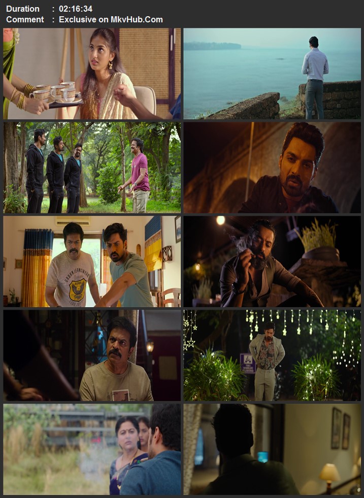Amigos 2023 Dual Audio [Hindi-Telugu] 720p 1080p WEB-DL x264 ESubs Download
