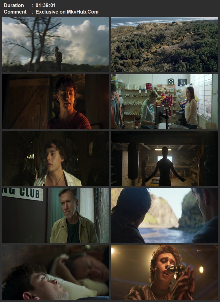 Punch 2022 English 720p 1080p WEB-DL x264 ESubs Download