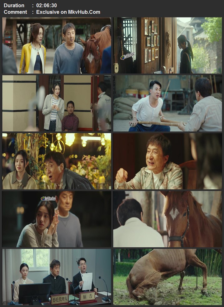 Ride On 2023 Mandarin 720p 1080p WEB-DL x264 ESubs Download