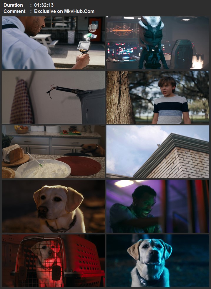 Space Pups 2023 English 720p 1080p WEB-DL x264 ESubs Download