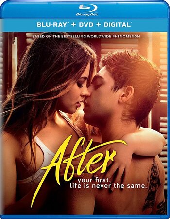 After 2019 Dual Audio Hindi ORG 1080p 720p 480p BluRay x264 ESubs Full Movie Download