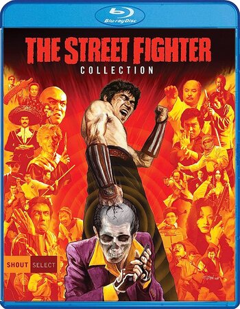 The Street Fighter 1974 Dual Audio Hindi ORG 720p 480p BluRay x264 ESubs Full Movie Download