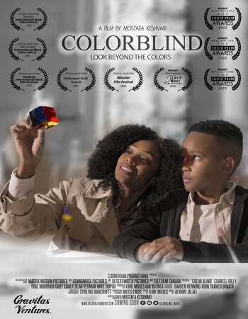 Colorblind 2023 English 720p 1080p WEB-DL x264 2CH ESubs
