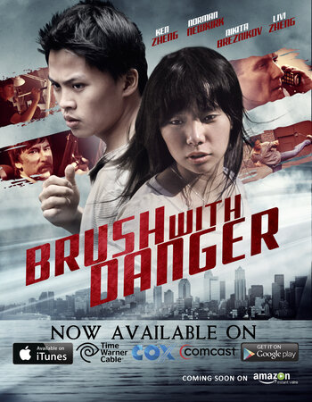 Brush with Danger 2015 Dual Audio Hindi ORG 720p 480p WEB-DL x264 ESubs Full Movie Download