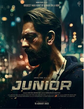 Junior 2023 Punjabi 720p 1080p Pre-DVDRip x264 AAC HC-Sub