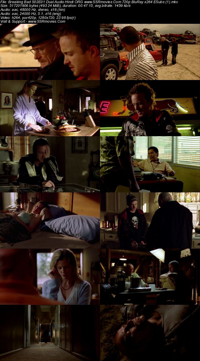 Breaking Bad S02 Dual Audio Hindi ORG 1080p 720p 480p BluRay x264 ESubs Download