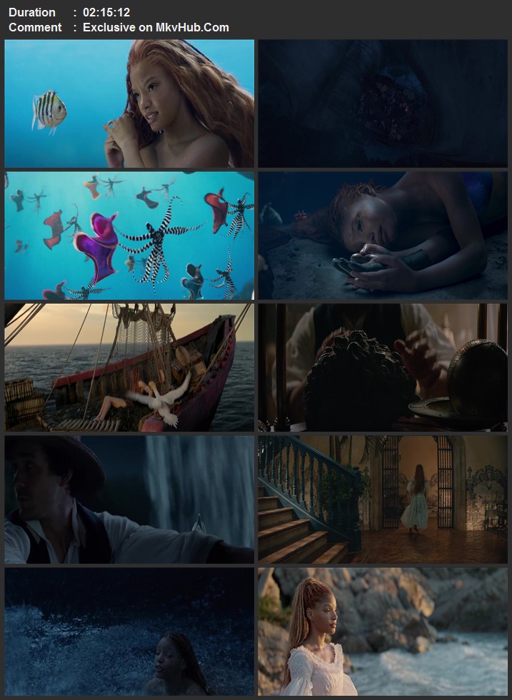 The Little Mermaid 2023 Dual Audio [Hindi - English] 720p 1080p WEB-DL x264 ESubs Download