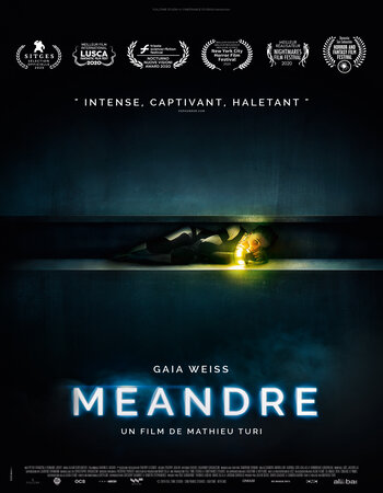 Meander 2020 Dual Audio Hindi ORG 720p 480p WEB-DL x264 ESubs Full Movie Download