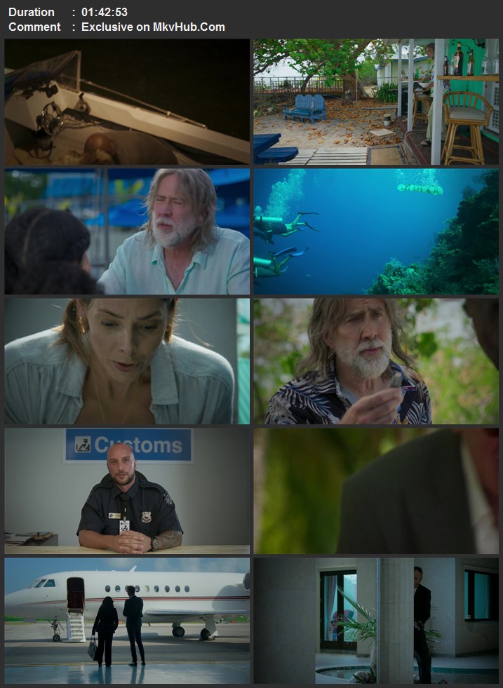 The Retirement Plan 2023 English 720p 1080p WEB-DL x264 ESubs Download