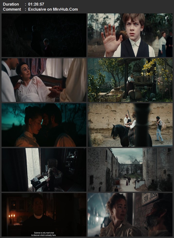 In the Fire 2023 English 720p 1080p WEB-DL x264 ESubs Download