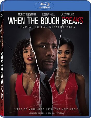 When the Bough Breaks 2016 Dual Audio Hindi (ORG 5.1) 1080p 720p 480p BluRay x264 ESubs Full Movie Download