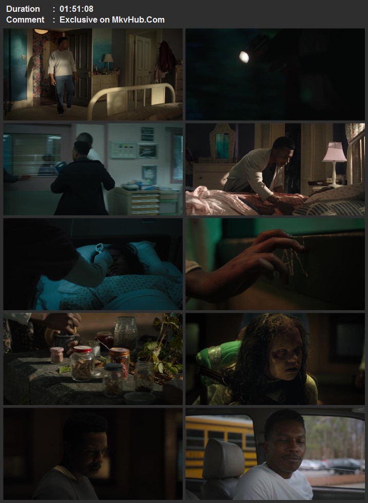 The Exorcist: Believer 2023 Dual Audio [Hindi-English] 720p 1080p WEB-DL x264 ESubs Download