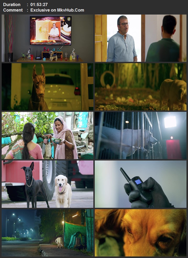 Valatty 2023 Dual Audio [Hindi-Malayalam] 720p 1080p WEB-DL x264 ESubs Download