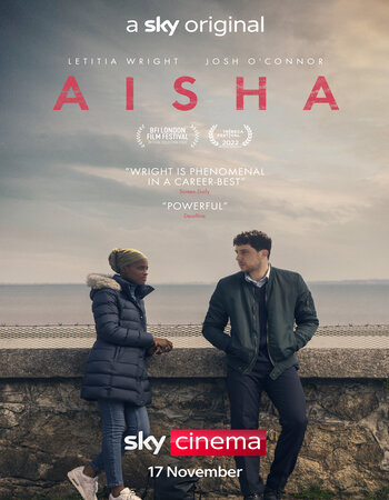 Aisha 2022 Hindi (UnOfficial) 1080p 720p 480p BluRay x264 Watch Online