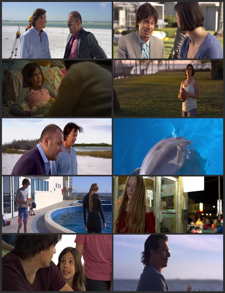 Bernie The Dolphin 2018 Dual Audio Hindi ORG 720p 480p BluRay x264 ESubs Full Movie Download