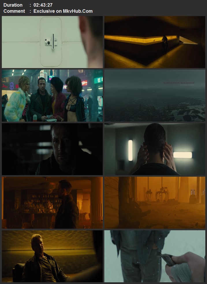 Blade Runner 2049 2017 English 720p 1080p BluRay x264 ESubs Download