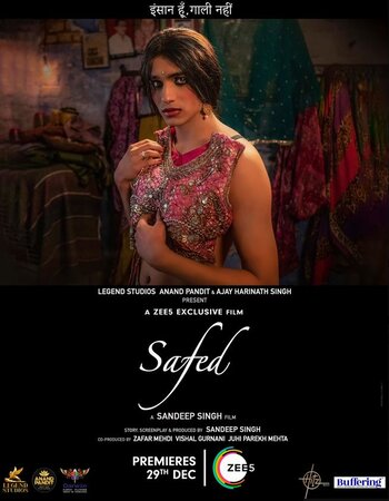 Safed 2023 Hindi ORG 1080p 720p 480p WEB-DL x264 ESubs Full Movie Download
