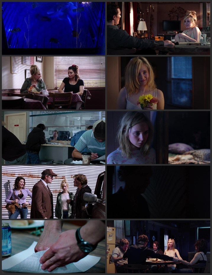 Killer Joe 2011 Dual Audio Hindi ORG 720p 480p BluRay x264 ESubs Full Movie Download