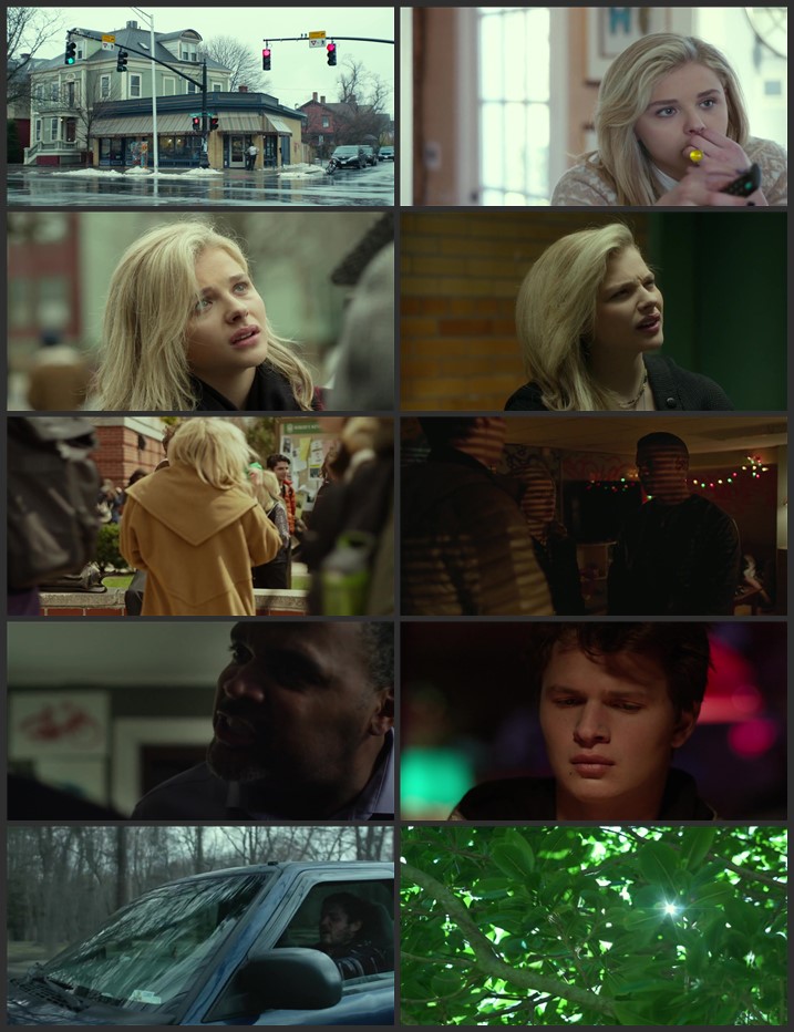 November Criminals 2017 Dual Audio Hindi ORG 1080p 720p 480p BluRay x264 ESubs Full Movie Download