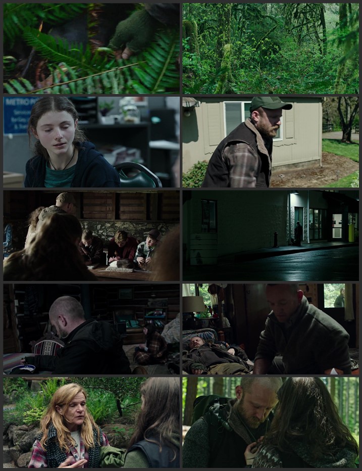Leave No Trace 2018 Dual Audio Hindi (ORG 5.1) 1080p 720p 480p BluRay x264 ESubs Full Movie Download