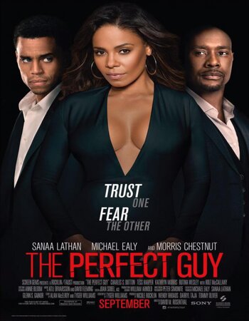 The Perfect Guy 2015 Dual Audio Hindi ORG 1080p 720p 480p BluRay x264 ESubs Full Movie Download