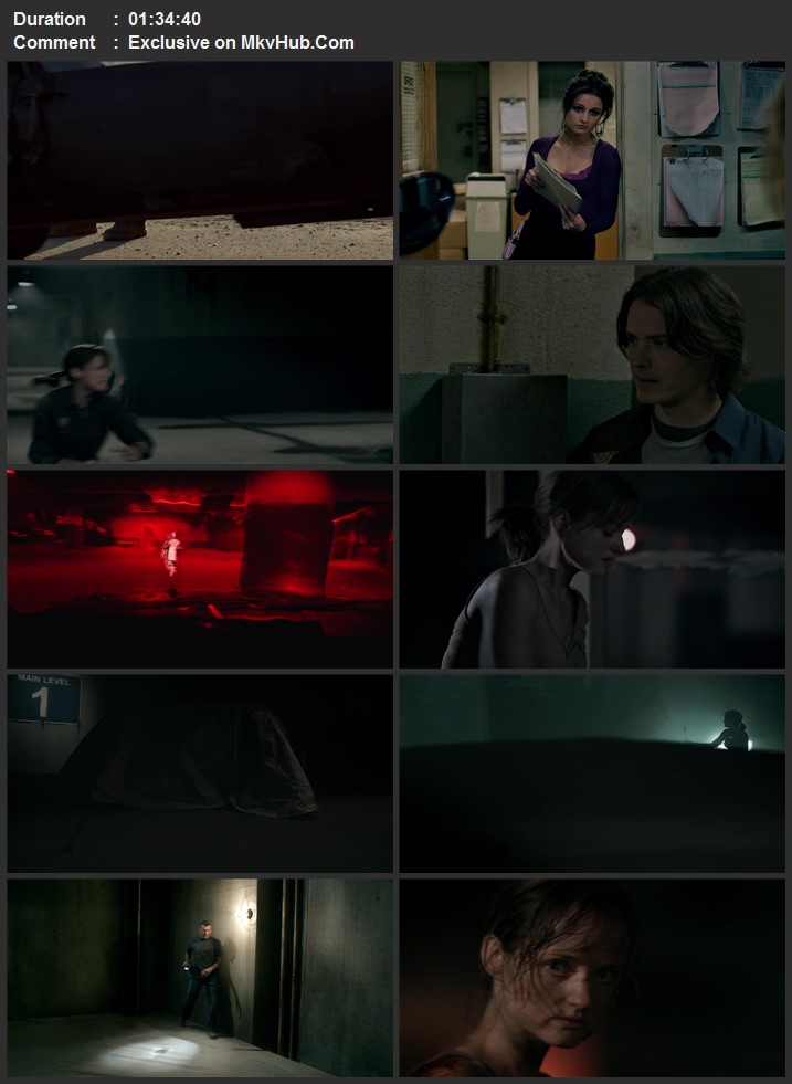 Super Hybrid 2010 English 720p 1080p BluRay x264 ESubs Download