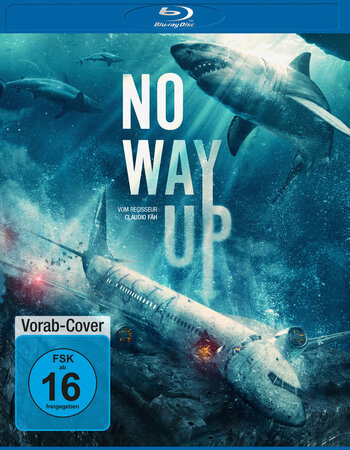 No Way Up 2024 Dual Audio Hindi ORG 1080p 720p 480p BluRay x264 ESubs Full Movie Download