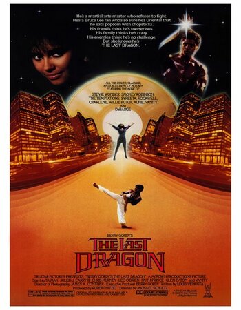 The Last Dragon 1985 Dual Audio Hindi ORG 720p 480p BluRay x264 ESubs Full Movie Download