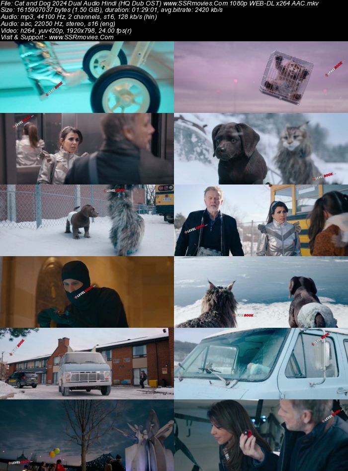 Cat and Dog 2024 Dual Audio Hindi (HQ-Dub OST) 1080p 720p 480p WEB-DL x264 Full Movie Download