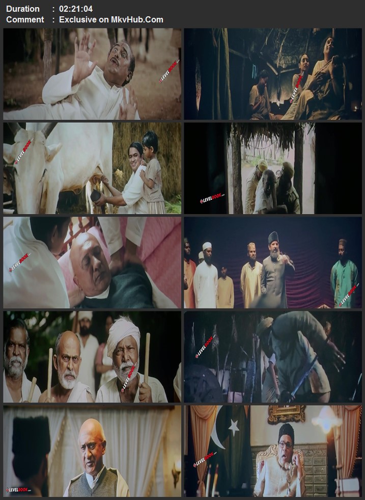 Razakar: The Silent Genocide of Hyderabad 2024 Hindi [Cleaned] 720p 1080p HDTS x264 ESubs Download