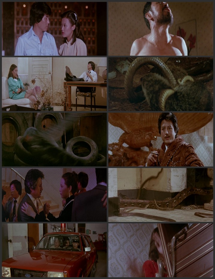 Calamity of Snakes 1982 Dual Audio Hindi ORG 720p 480p BluRay x264 ESubs Full Movie Download