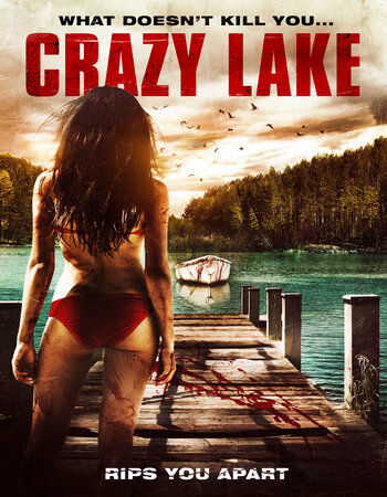 Crazy Lake 2016 UNRATED Dual Audio Hindi ORG 720p 480p WEB-DL x264 ESubs