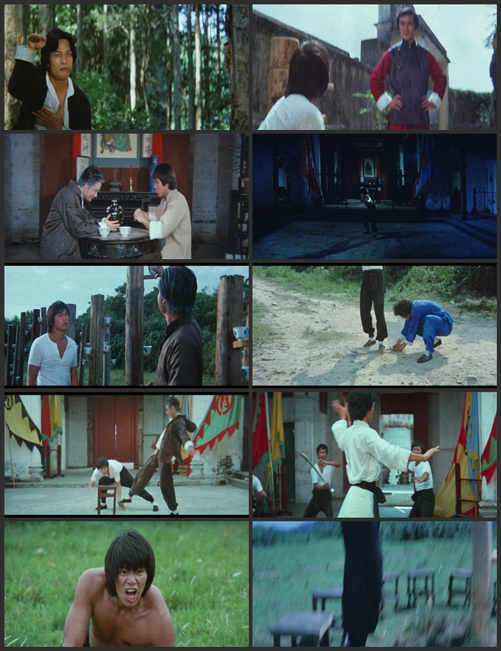 Snake in the Monkey's Shadow 1979 Dual Audio Hindi ORG 720p 480p BluRay x264 ESubs Full Movie Download